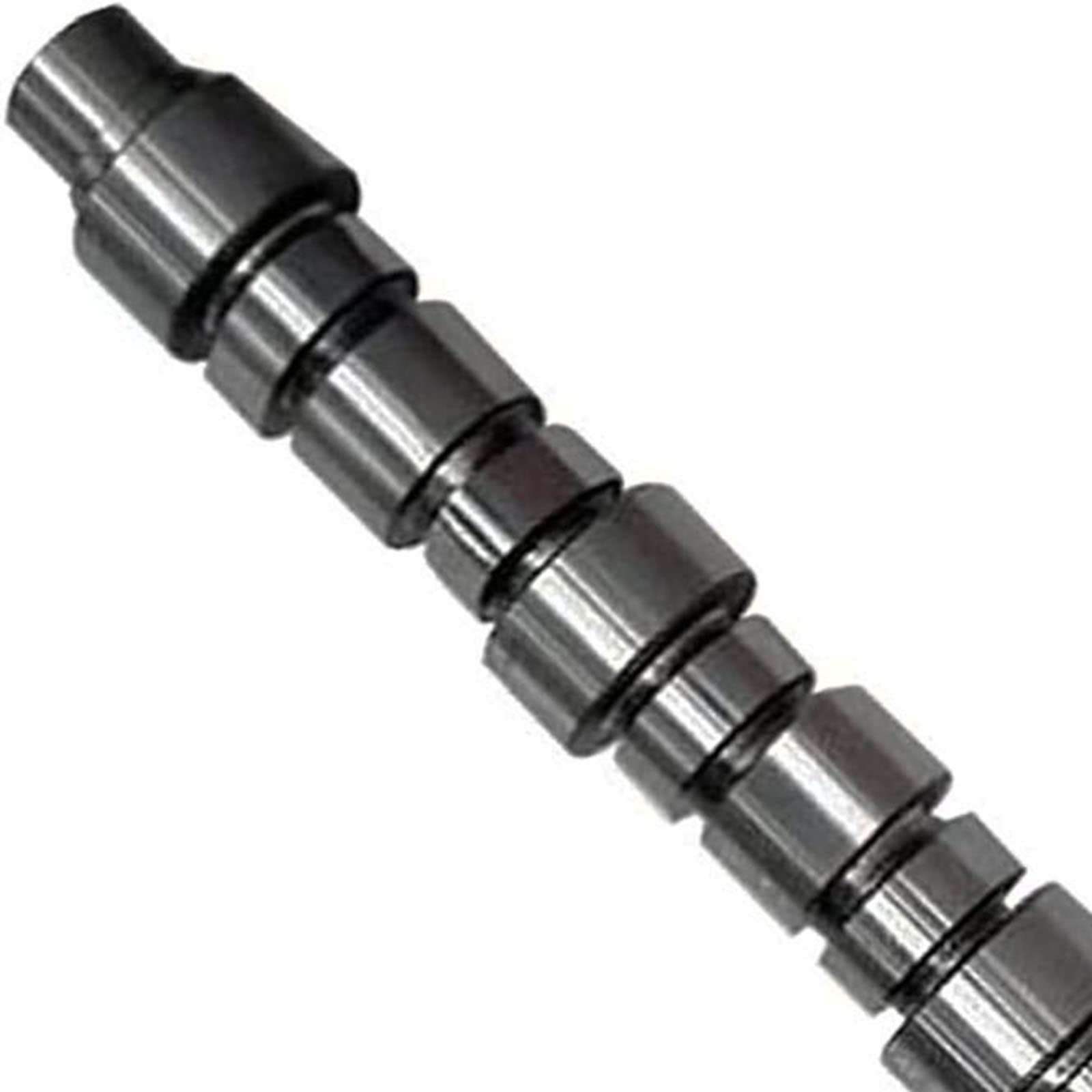 Amazon.com: dertgmlm Camshaft 3025517 Fits for Cummins NT855